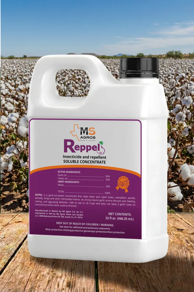 Reppel